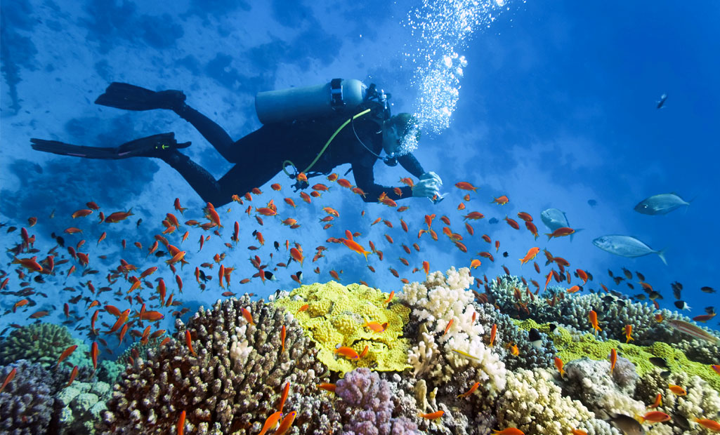 Scuba Diving at Havelock Andaman