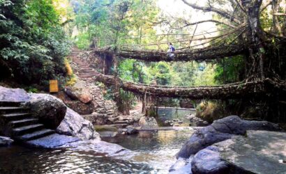 Double Decker Living Root Bridge Meghalya