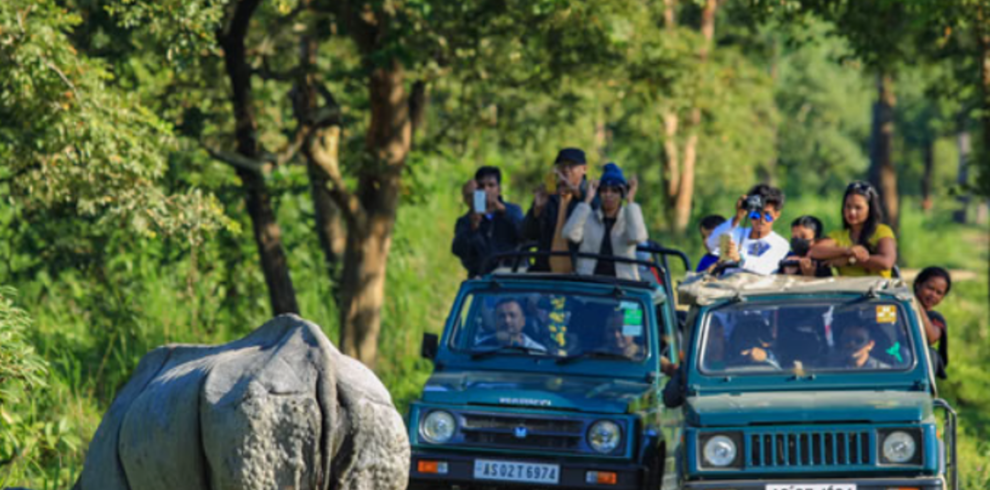 Jeep Safari in Kaziranga National Park