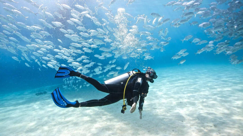 Adventure Activities